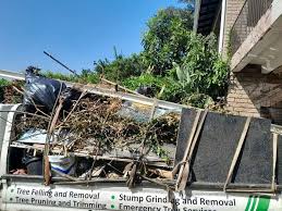 Best Hoarding Cleanup  in Colwich, KS